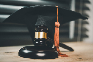 LAW Schools Placements and Beyond